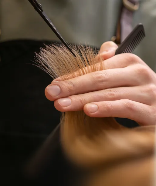 Frisör schneidet helle Haare mit Schere und Kamm.